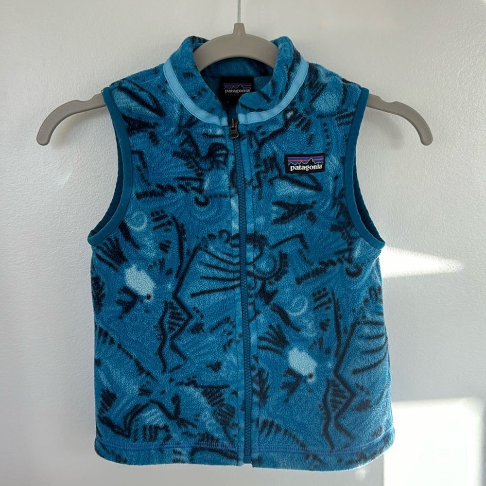 Toddler Patagonia synchilla vest
